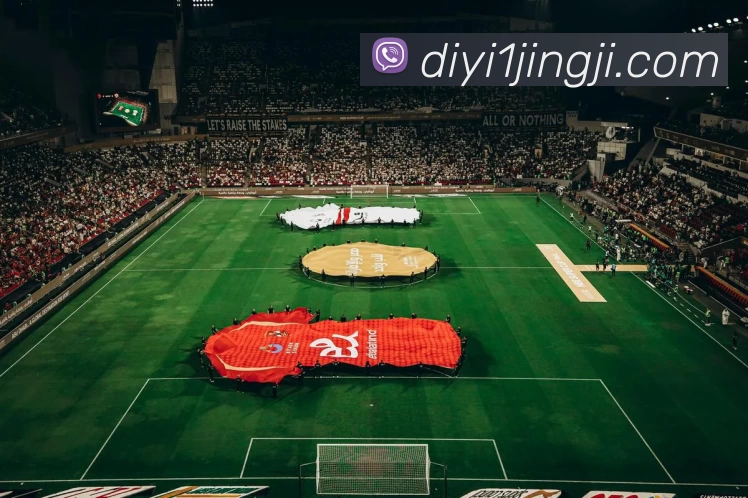 第一电竞综合平台平台生态图